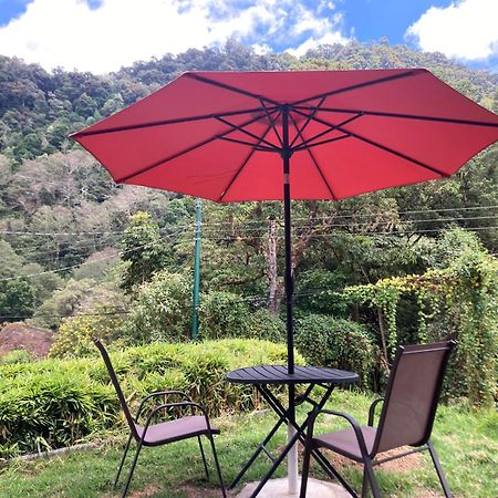 Los Lagos Lodge San Gerardo de Dota Kültér fotó