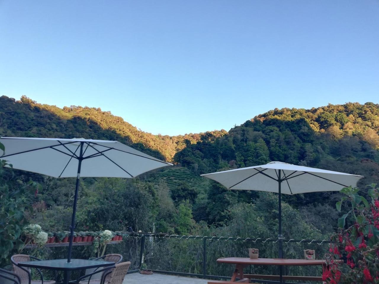 Los Lagos Lodge San Gerardo de Dota Kültér fotó