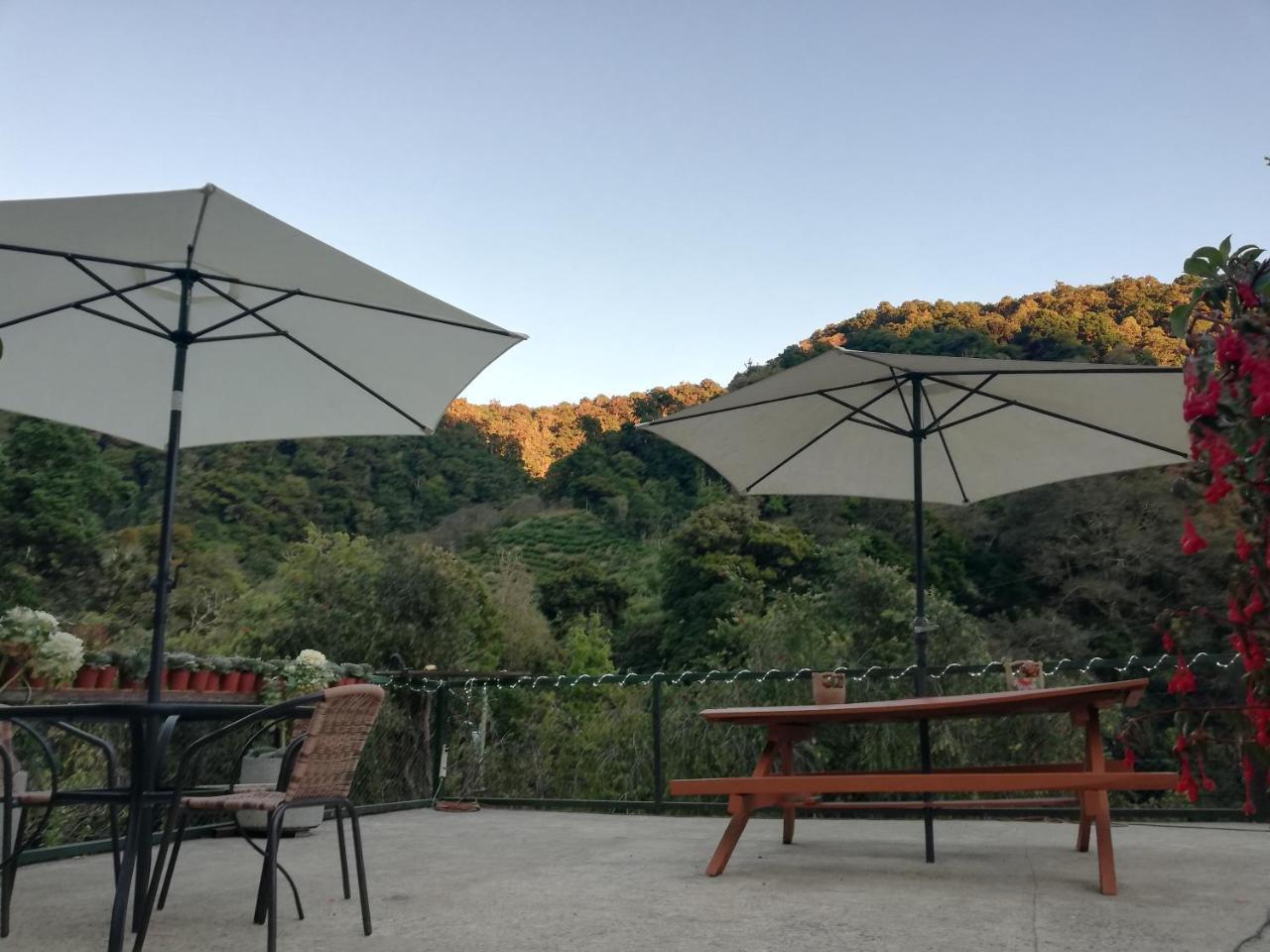 Los Lagos Lodge San Gerardo de Dota Kültér fotó